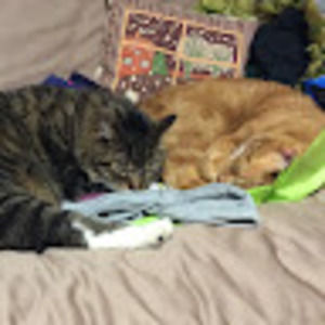 Meet your Posher, Margaretta